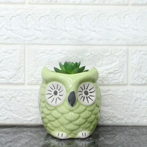Ceramic Planters, Shape :  Owl