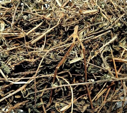 Eclipta Prostrata Extract, Form : Dried