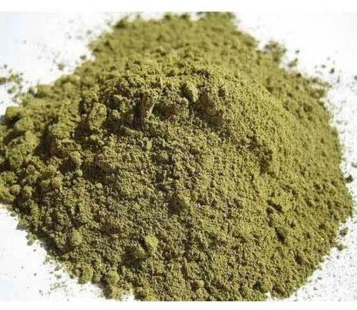 Tulsi Powder, Packaging Type : Loose