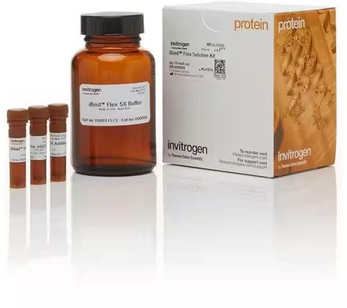 Invitrogen iBind™ Flex Solution Kit