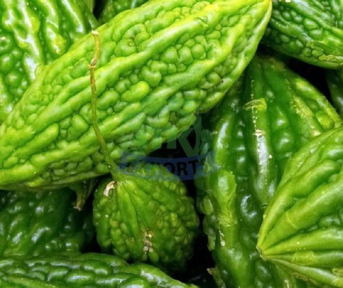 Natural Fresh Bitter Gourd, For Human Consumption