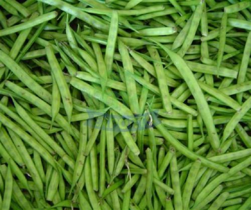 Fresh Cluster Beans, Feature : Good For Health