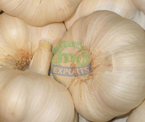 Garlic, Storage : Cool, Dry Place