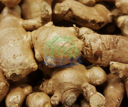 Natural Fresh Ginger, For Cooking, Cosmetic Products, Feature : Hygienically Packed