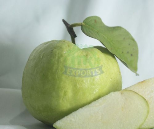 Natural Fresh White Guava, For Human Consumption, Certification : FSSAI Certified