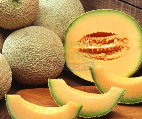 Fresh Musk Melon