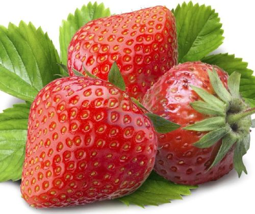 Common Fresh Strawberry, For Human Consumption