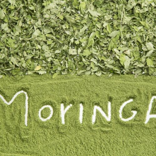 Dried Moringa Leaves