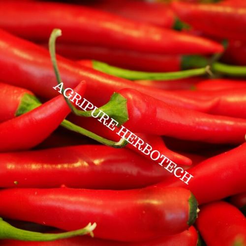 Oleoresin Capsicum