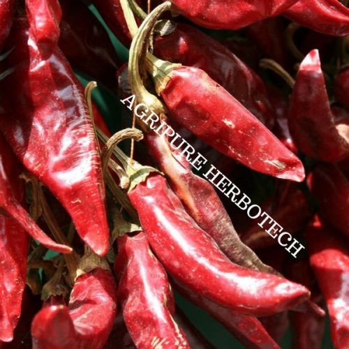 Paprika Oleoresin 100000 CU