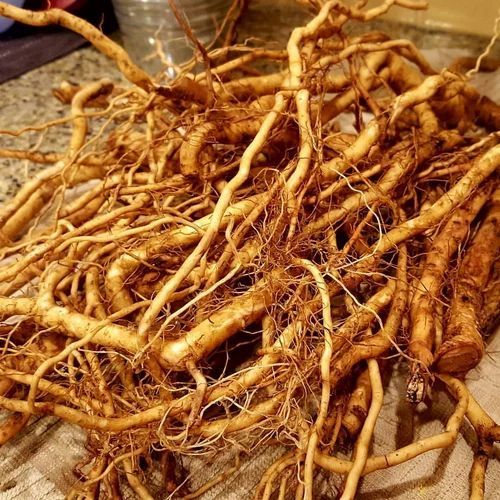 Ashwagandha Roots, For Herbal Products, Medicine, Style : Dried