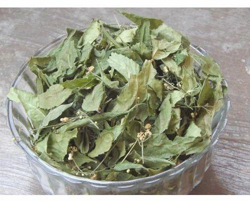 Dried Neem Leaves, For Cosmetic, Medicine, Form : Leaf