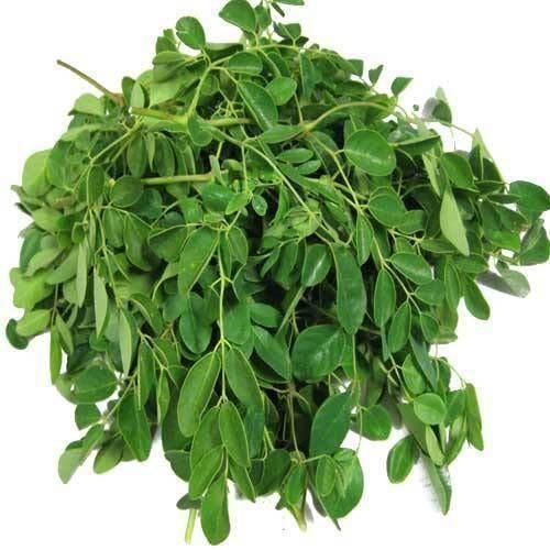 Organic Moringa Leaves, For Cosmetics, Medicine, Feature : Good Quality