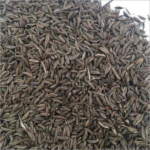 Organic Cumin Seeds, Packaging Type : Plastic Packet