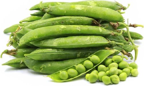 Fresh Green Peas, For Cooking