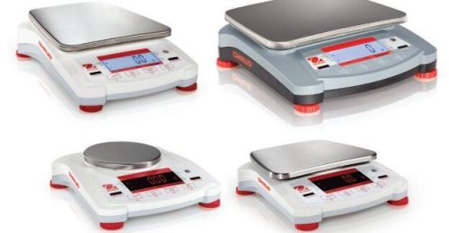 Portable Scales