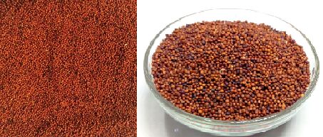 Sieving Red Millets, Style : Small Grains