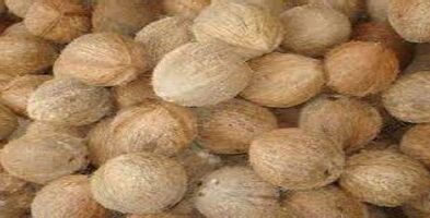 Fresh coconut, Texture : Hard