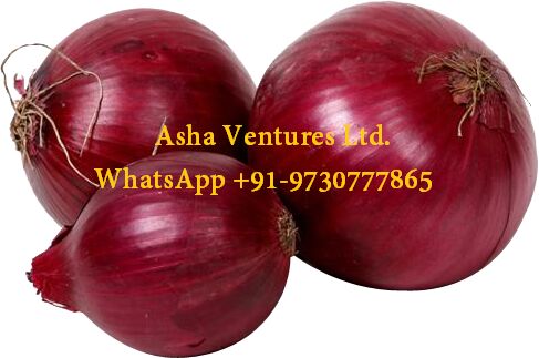 AVL Agro Onions, Packaging Type : Mesh/jute