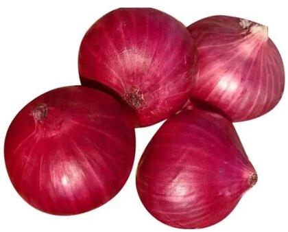 Organic Red Onion, Packaging Type : Loose