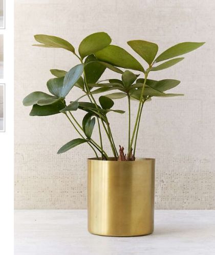 Mod Metal 3 Planter Diameter: 3', - Height: 4'