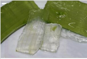 Aloe Vera Pulp