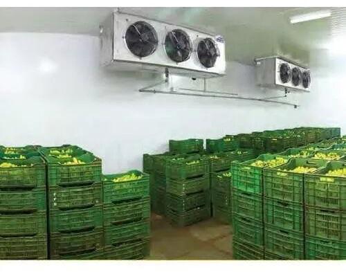 Banana Repining Chamber, Voltage : 220-415 V