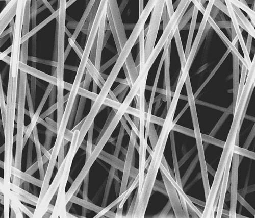 Nano Wires, Length : 50 Micron