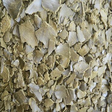 Mustard De Oiled Cake