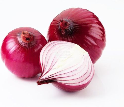 Onion