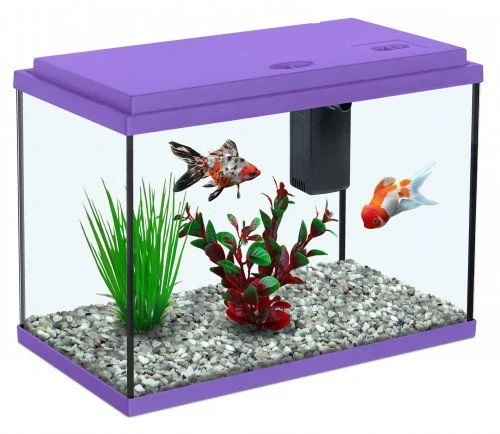 Aquarium Fish Tank, For Decoration, Feature : Quality Tested, Fine Finish, Accurate Dimension