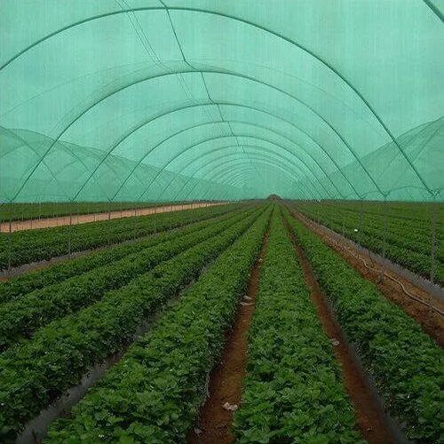 Green Nylon Agro Shade Net