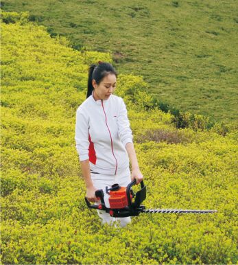 Hedge Trimmer, Brand Name : DAZHUANG