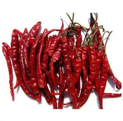 Kashmir Long Red Chilli, Shelf Life : 1year