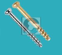 Capsur SS Short Thread Cannulated Screw