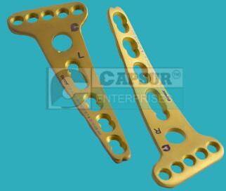 Capsur Titanium Volar Buttress Locking Plate