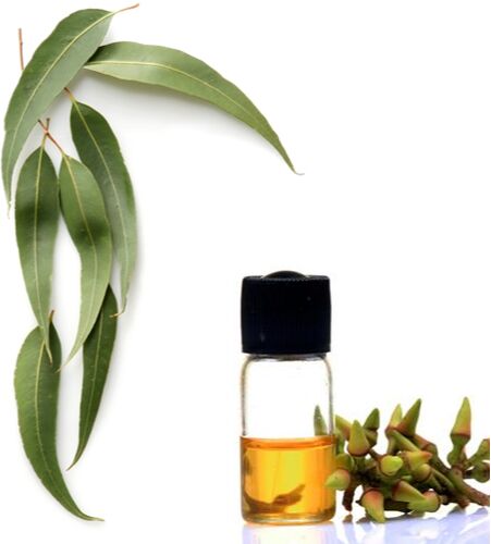 50ml Dunsandle Eucalyptus Oil, Certification : ISO 9001:2008