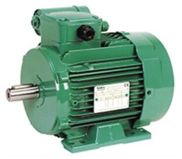 Single Phase Induction Motors, Voltage : 220 - 230 - 240