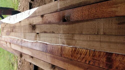 Western Red Cedar, Features : Rough, Termite Resistant, Klin-dried