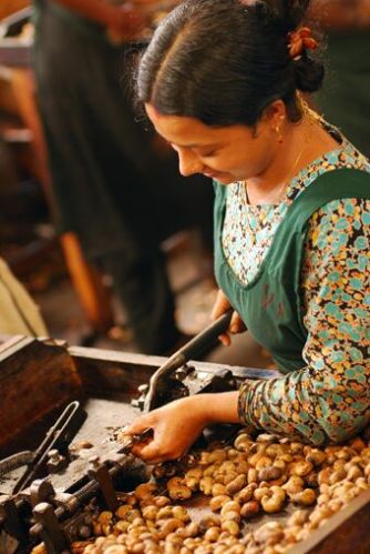 Raw Cashew Nuts, Packaging Type : White, Creamy