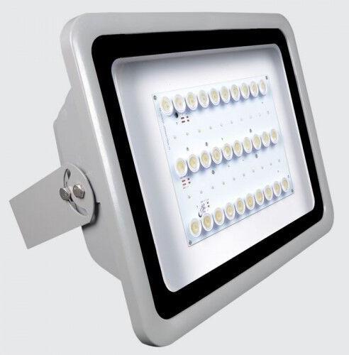 LED SS Flood Light, Lighting Color : Pure White