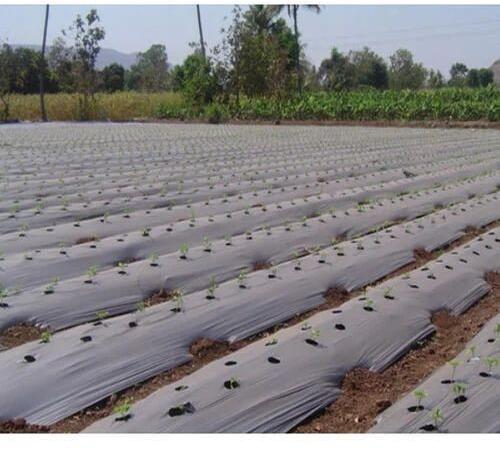 Silver HDPE Agricultural Mulching Film Roll