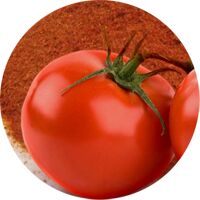 Tomato powder, Packaging Size : 25Kg