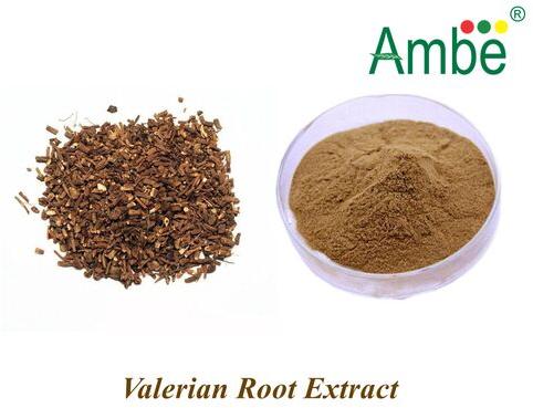 Valerian Extract, Form : Powder