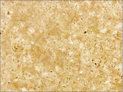 Niwala Peach Granite Slab