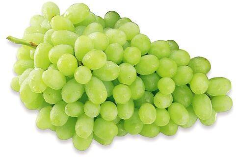 Organic Fresh Grapes, For Human Consumption, Certification : FSSAI Certified