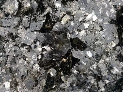 Biotite