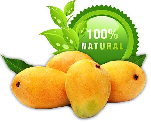 Organic Ratnagiri Alphonso Mangoes, Color : Yellow