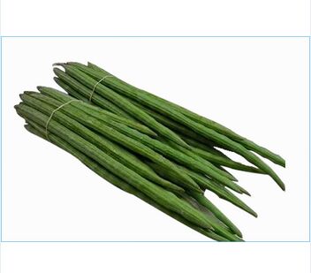 Fresh drumsticks, Storage Condition : Fresh