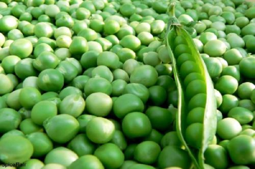 Fresh Green Peas